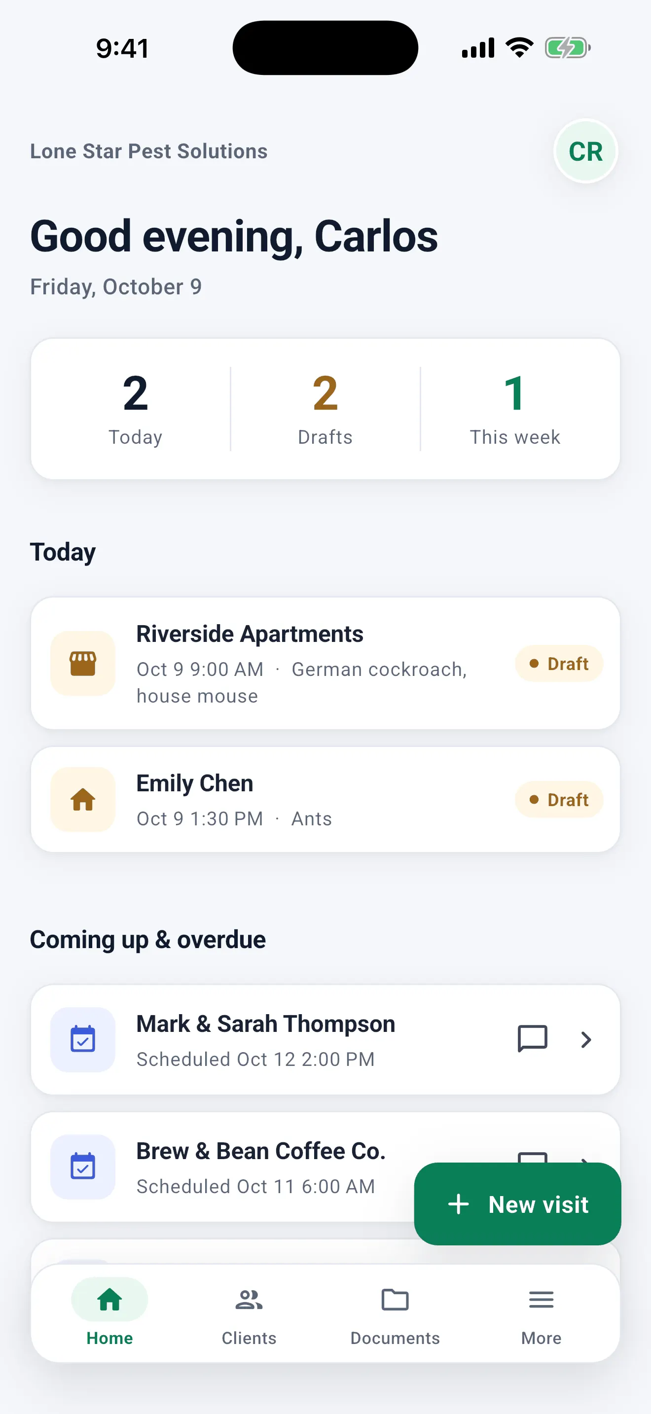 Home screen: today's visits, coming up and overdue services, and the Home, Clients, Documents and More tabs with the New visit button.
