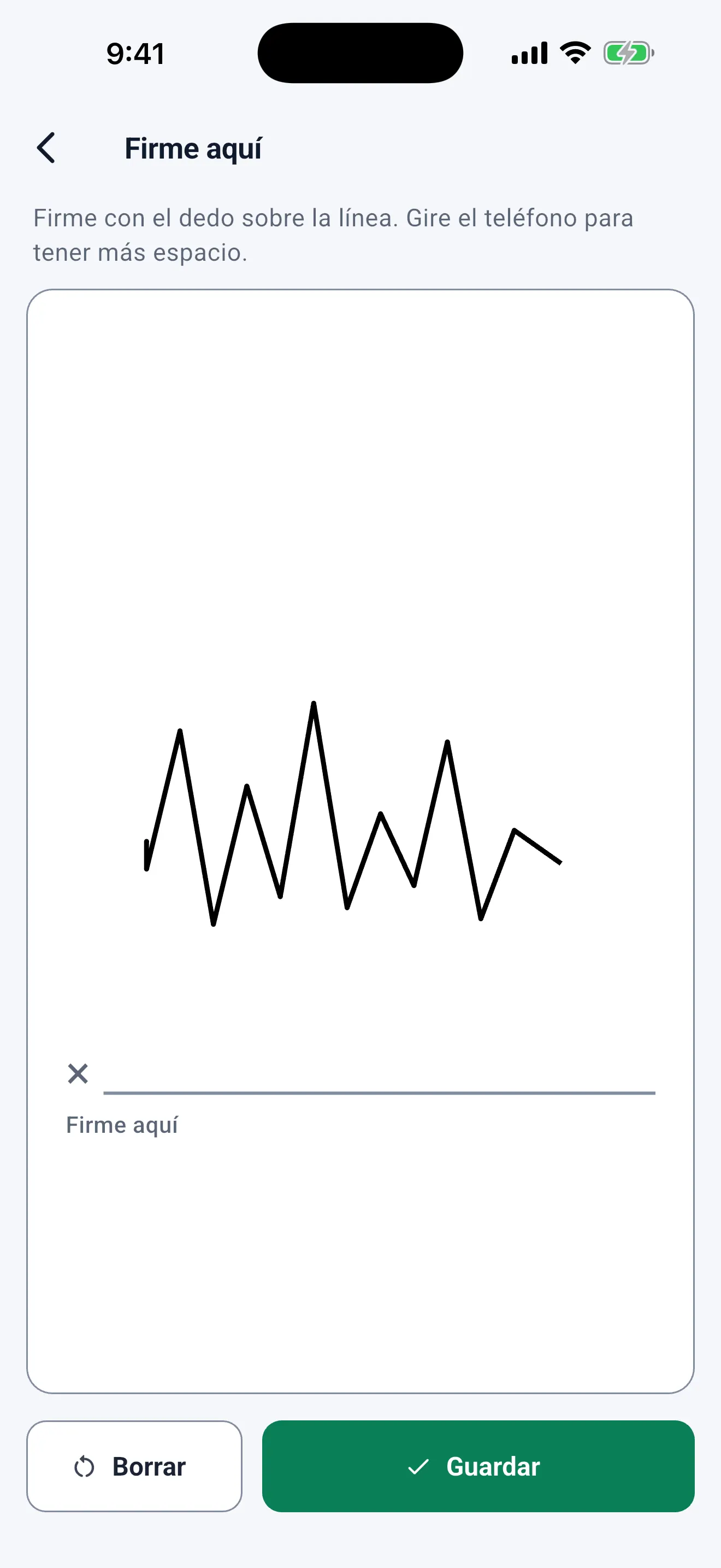 Firma a pantalla completa: el cliente firma con el dedo sobre la línea, con Borrar y Guardar abajo.